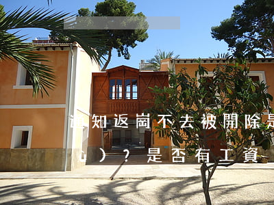 通知返崗不去被開除：是否需要辦理手續(xù)？是否有工資？